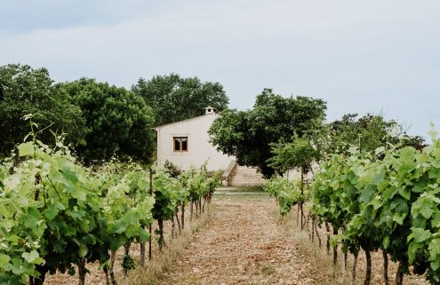 A sustainable Mallorcan farmhouse asks for €900k